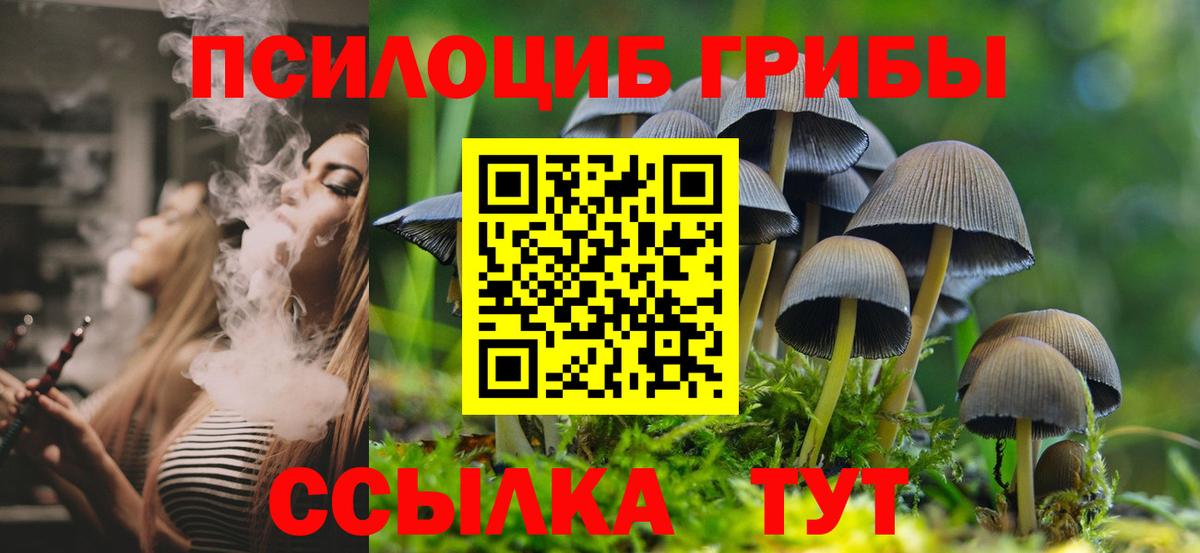 Галлюциногенные грибы мицелий Саранск