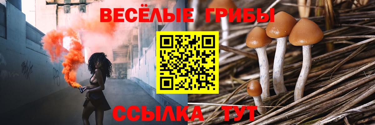 Саранск  Псилоцибиновые грибы прущие грибы  Вход с VPN 